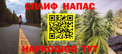 дмт Аргун