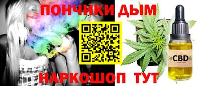 дмт Аргун