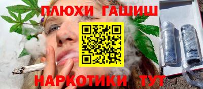 дмт Аргун