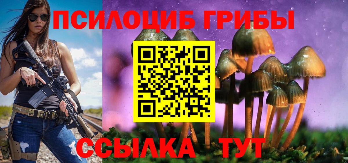 Ахтубинск  Галлюциногенные грибы Psilocybine cubensis  магазин    Вход с VPN 